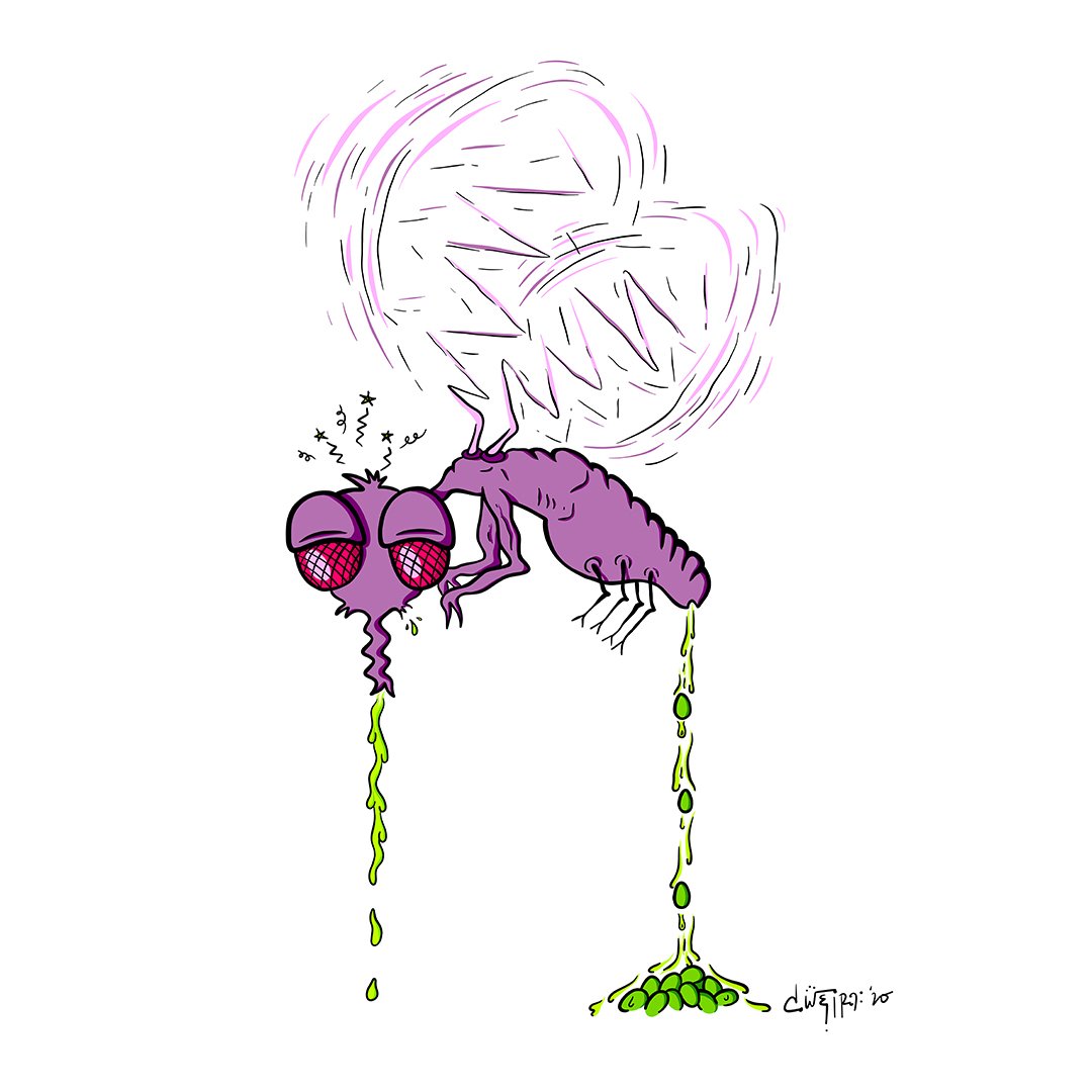 Good Meeting — Fly Guy