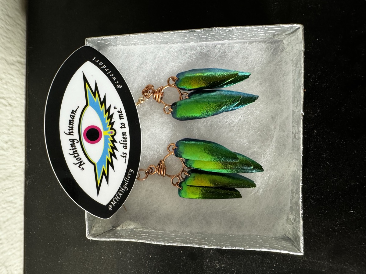 Beetle Wing Earrings — c.weird jewelry