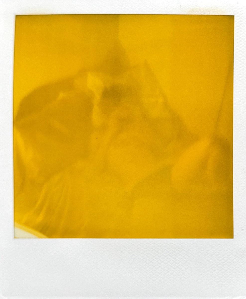 Figurative Polaroid