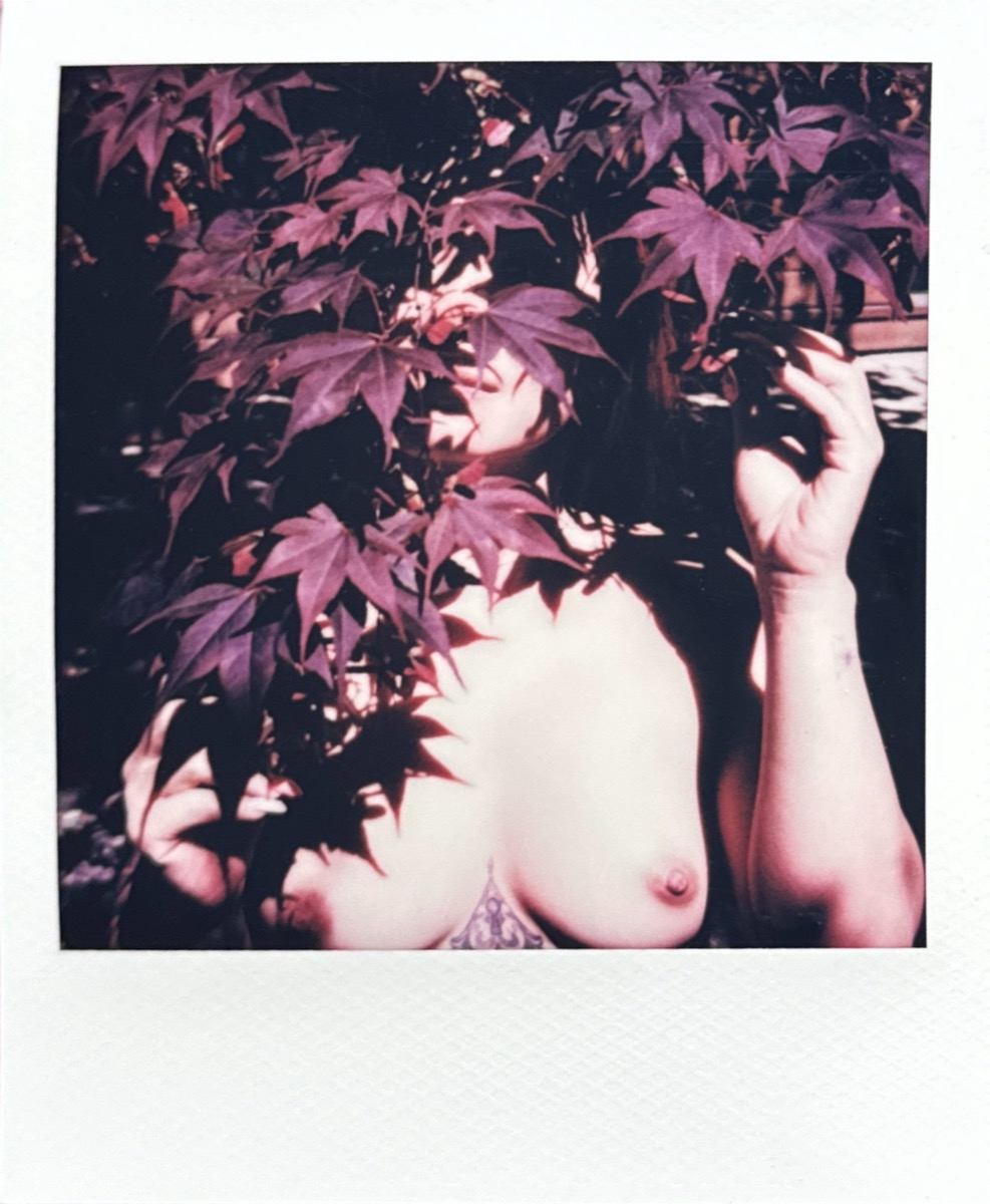 Figurative Polaroid