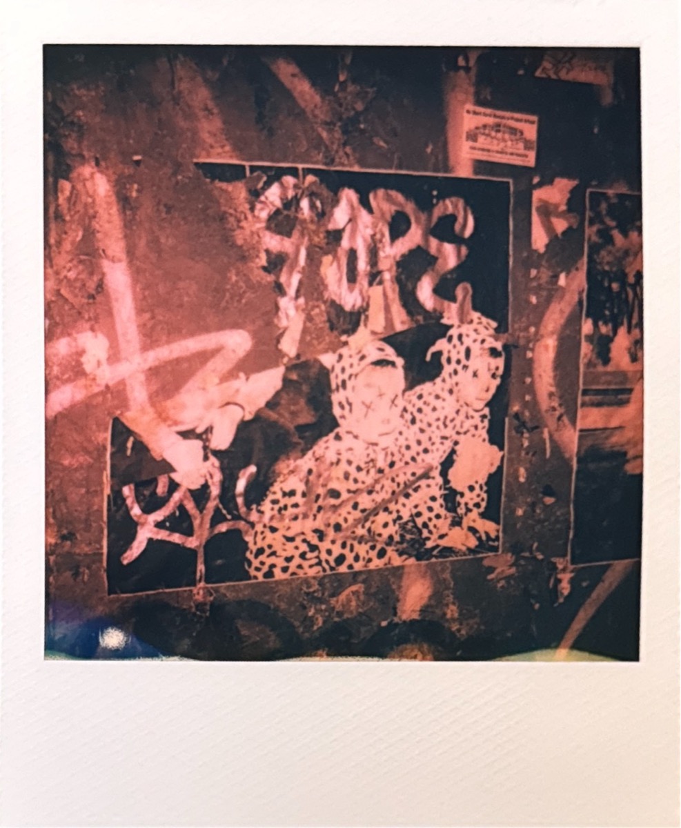 Figurative Polaroid