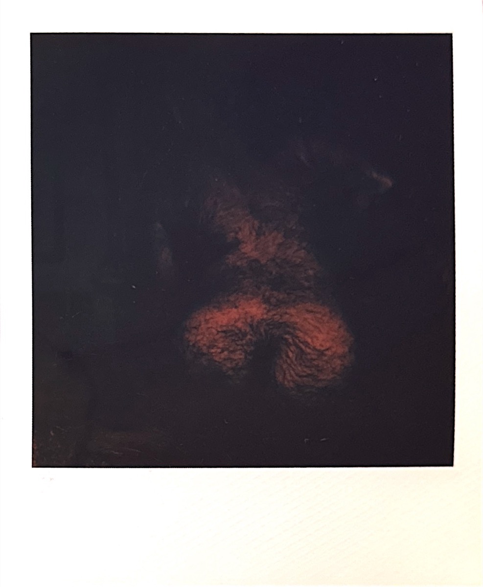 Figurative Polaroid