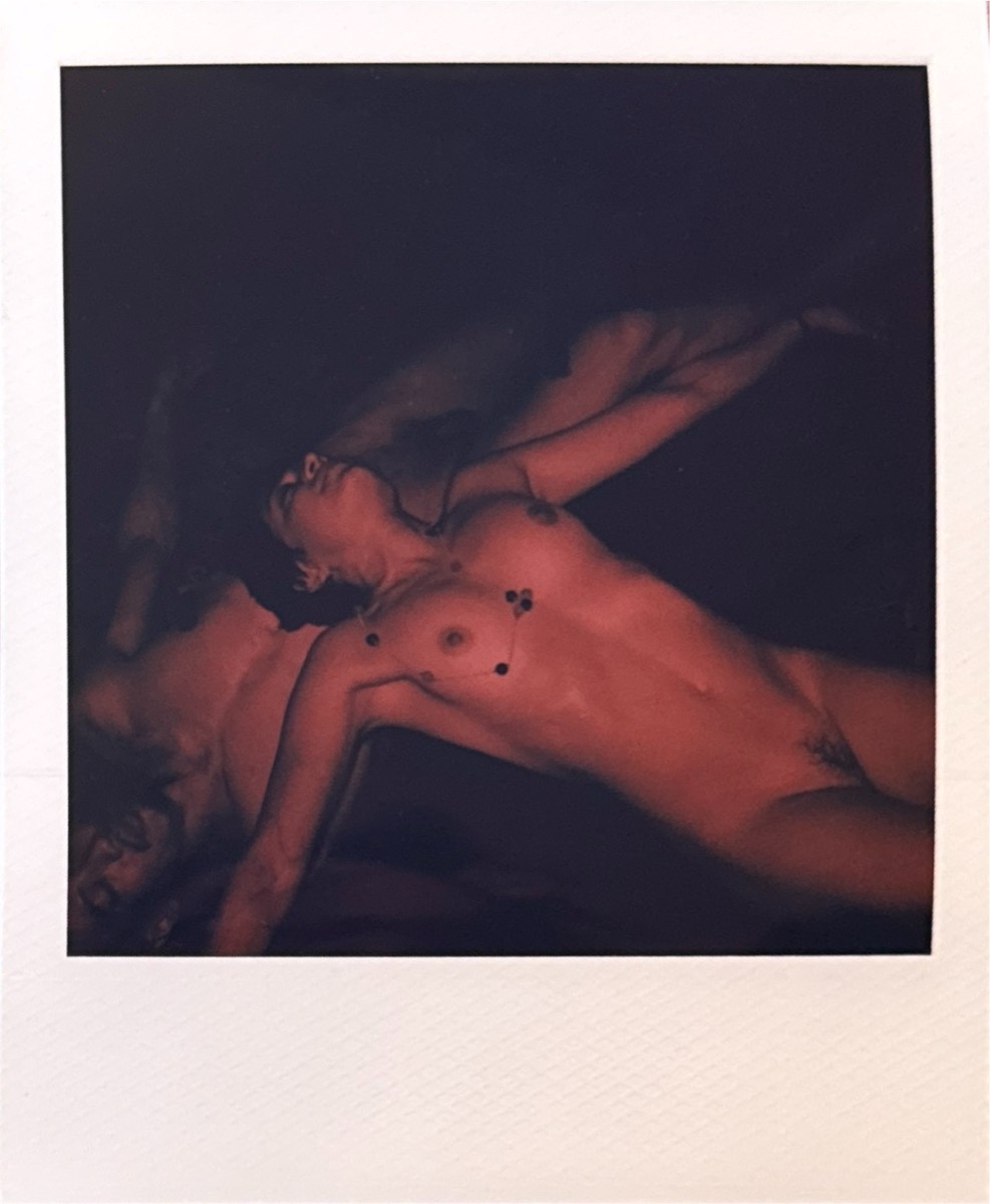 Figurative Polaroid