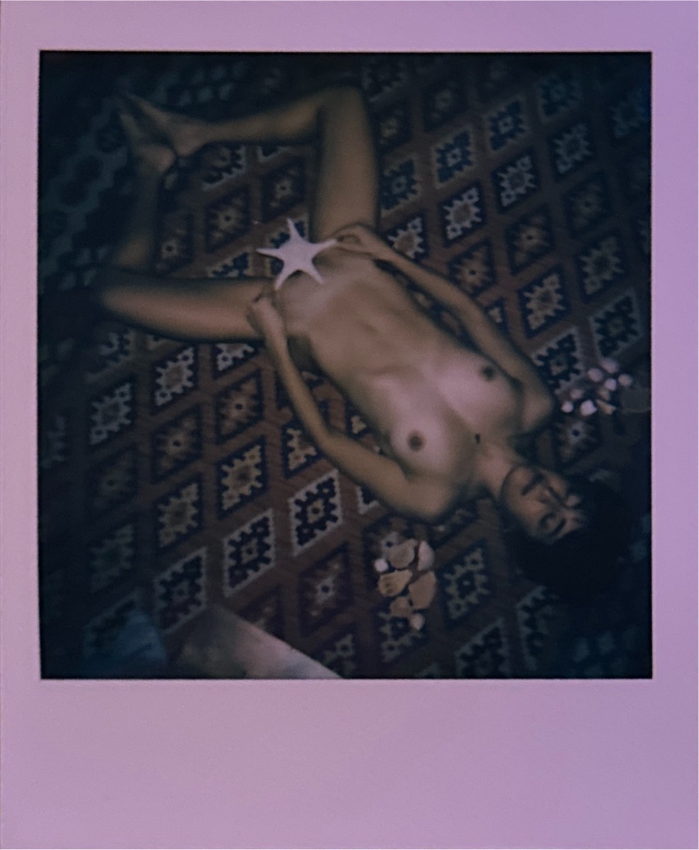 Figurative Polaroid