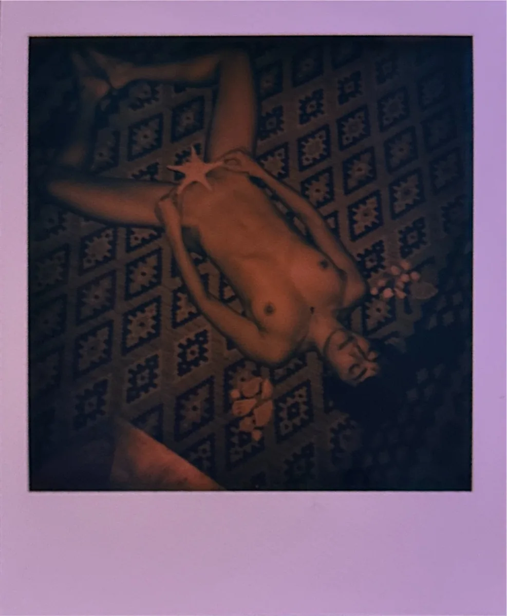 Figurative Polaroid
