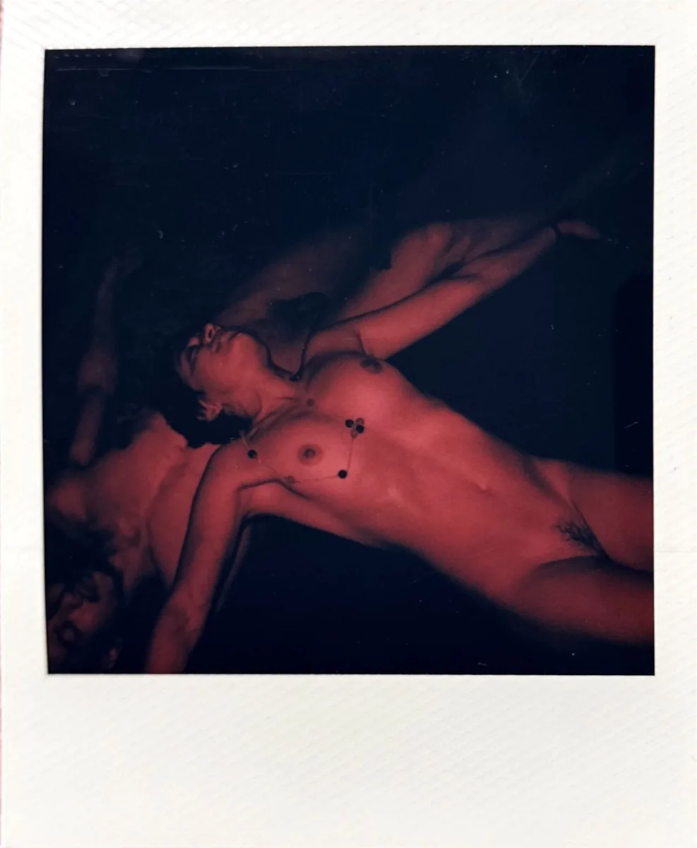 Figurative Polaroid