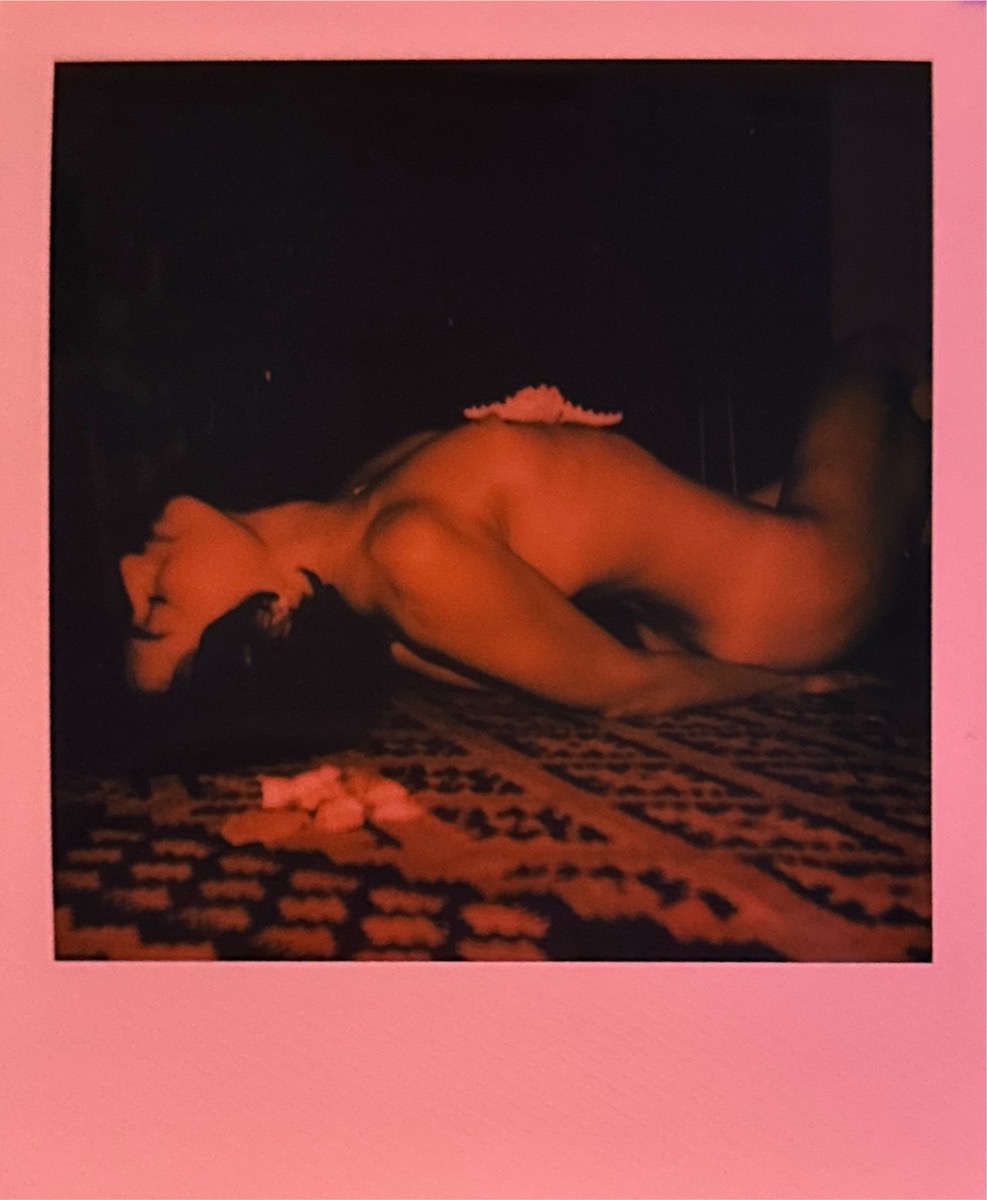 Figurative Polaroid